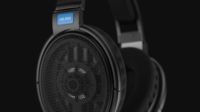 Sennheiser HD 600 - Audiophile Open-Back Dynamic Wired Headphones Over Ear with Natural Soundstage and Premium Comfort for Music Lovers, Open Metal Earpiece Covers, Black