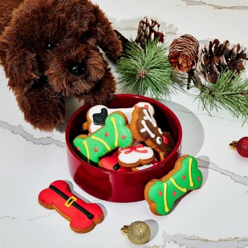 Crunchy Dog Biscuits, Gourmet Dog Treats, Christmas Gift Set, Pet Stocking Stuffer, Dog Lovers & Holiday Traditions Christmas Holiday Dog Treat Gift Set, Decorated Bone-Shaped Treats Set of 8 B0899745VC