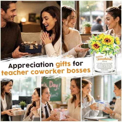 Motivational Inspirational Gift for Coworker Teacher Employee Leader Friend Coach, Definition Acrylic Office Desk Decor Human Sunshine Appreciation Gifts, Christmas Thank You Gifts for Women Men B0H3C7LC9Y