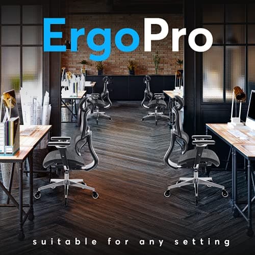 Oline ErgoPro Ergonomic Office Chair, Rolling Desk Chair with 4D Adjustable Armrest, 3D Lumbar Support, Blade Wheels, Mesh Computer Gaming Executive Swivel Chairs Chair (Black)