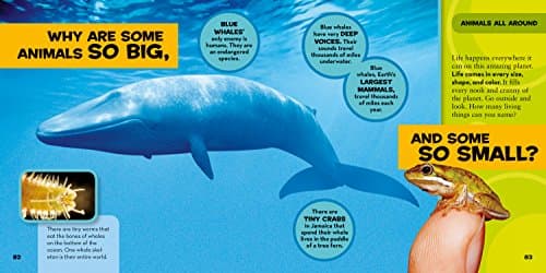 National Geographic Little Kids First Big Book of Why: Questions and Answers About the World for Curious Kids 1426307934