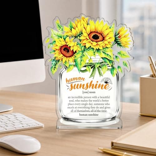 Motivational Inspirational Gift for Coworker Teacher Employee Leader Friend Coach, Definition Acrylic Office Desk Decor Human Sunshine Appreciation Gifts, Christmas Thank You Gifts for Women Men B0H3C7LC9Y