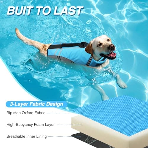 VIVAGLORY Sports Style Dog Life Vest, Dog Life Jacket for Swimming & Boating, Ripstop & Buoyancy for Puppy Doggy, Lifejacket with Handle, M, Blue