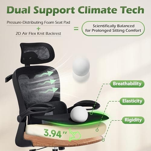 AreShark Office Chair Ergonomic Desk Chairs with Adjustable Lumbar Support& Headrest Hanger, High Back Breathable Mesh Chair with Wheels, Rolling Swivel Comfy Task Computer Chair for Home Work Gaming
