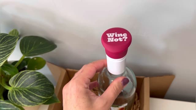 Funny Silicone Wine Stopper Set – Must-Have Wine Accessories & Perfect Wine Gifts for Women & Men – Airtight & Reusable