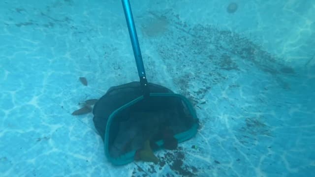 POOLWHALE Pool Skimmer Net Rake, Aluminum Frame Deep Nylon Net, Ultra Fine Mesh Pool Nets for Cleaning Leaves, Debris & Swimming Pools Skimming