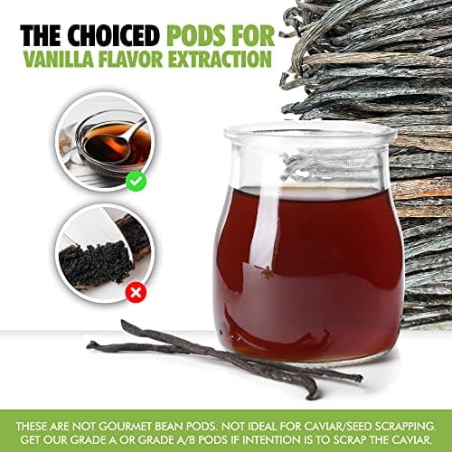 55 Organic Madagascar Vanilla Extract Exclusive Grade B Beans| 4" - 5" by FITNCLEAN VANILLA| Certified USDA Organic. Bulk Dry Whole Bourbon NON-GMO Pods B0DBZBR2MW