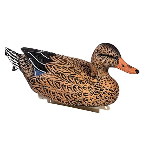 Heerweiyi Mallard Duck Decoys Popular New Material EVA Collapsible Plastic Duck Decoy Mallard Duck Decoys,Easy to Carry and use, More Cost-Effective.