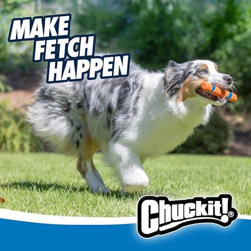 Chuckit! Interactive Dog Toy Ultra Fetch Stick - 12 Inch Outdoor Dog Toy for All Breed Sizes