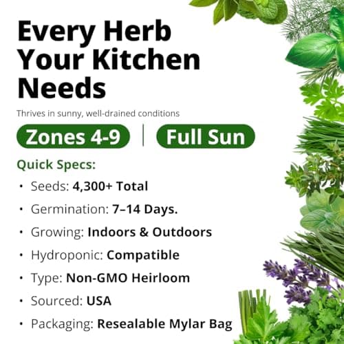 15 Culinary Herb Seeds - Heirloom & Non GMO - High Germination Rate - Seeds for Planting Indoor Hydroponic or Outdoor Herbs Garden | Gardening Gift Men Women Gardeners - Basil, Cilantro, Mint B07JCFWJ98