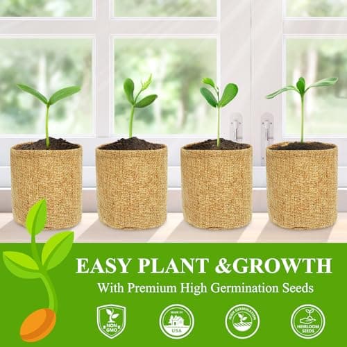 Indoor Herb Garden Kit, Culinary Herb Starter Kit with Seeds & Tools for Beginners, Kitchen Decor, House Warming Gifts for New Home, for Christmas, Ultimate Birthday Gifts for Women Men Mom Dad B0GR93MPX1