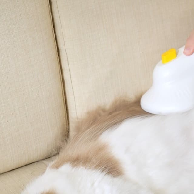 Cordless Dog Vacuum Groomer Kit,Cordless Rechargeable Vacuum Dog Brush for Hair,Handheld mini Pet Vacuum Brush,4200Pa Pet Grooming Cleaner With Comb Hair,Suitable for All Types of Cats and Dogs