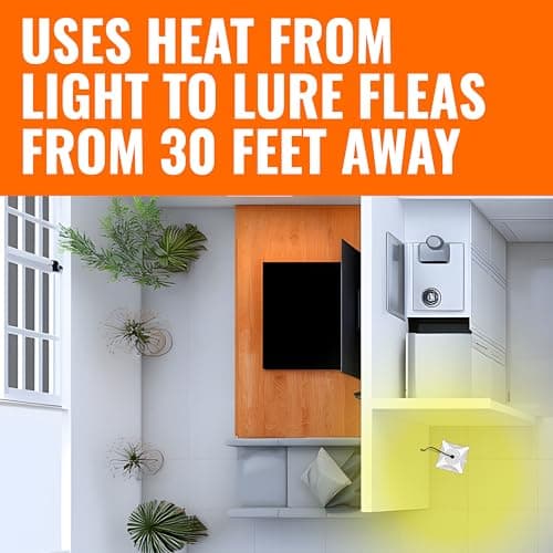 Terro T230 Indoor Electric Flea Trap and Killer - Refillable Flea Traps for Inside Your Home