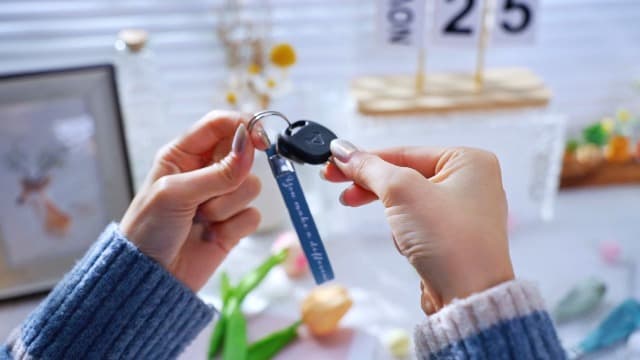 Customer Service Week, Inspirational Thank You Gifts, 10 Style Silicone Keyring for Office Staff Work Team Teacher Volunteer Nosiny 30 Pcs Keychain Appreciation Gift Bulk for Employee Coworker B0BZY67RDJ
