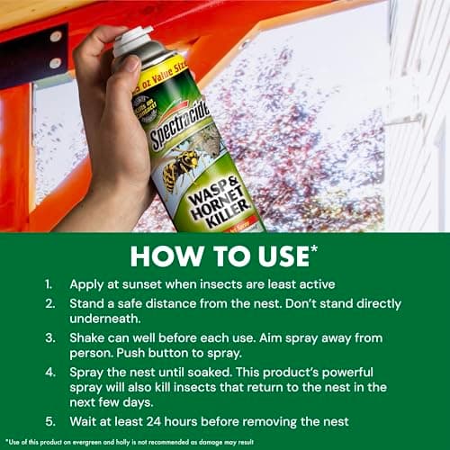 Spectracide Wasp & Hornet Killer Aerosol Kills Wasps, Hornets And Yellow Jackets On Contact & Eliminates The Nest, 12 Pack