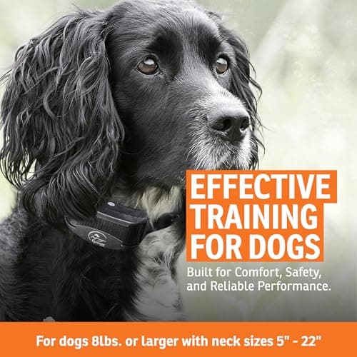 SportDOG Brand YardTrainer 100 Remote Trainer for Dogs Shock Collar with Remote, Waterproof, Submersible Up to 25 Ft, DryTek Technology, Trainer with Shock, Vibrate, and Tone
