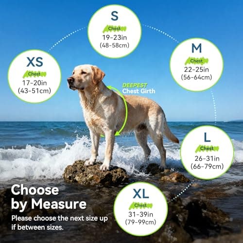 VIVAGLORY Sports Style Dog Life Vest, Dog Life Jacket for Swimming & Boating, Ripstop & Buoyancy for Puppy Doggy, Lifejacket with Handle, M, Blue