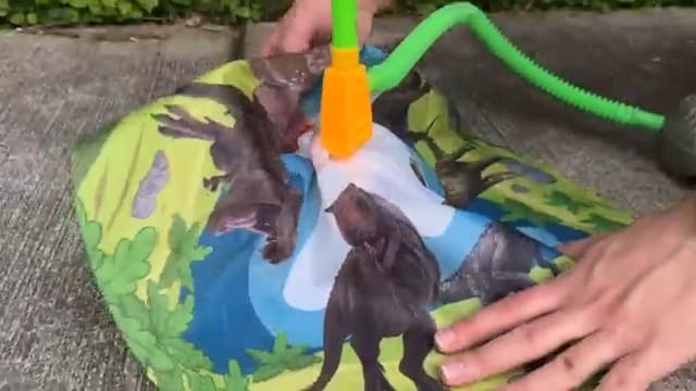 Dinosaur Toy Rocket Launcher for Kids - Launch Up to 100 Ft, 4 Rockets, Outdoor Outside Toys for Kids, Dinosaur Toys, Birthday Gifts for 3 4 5 6 7 8-12 Year Old Boys Girls