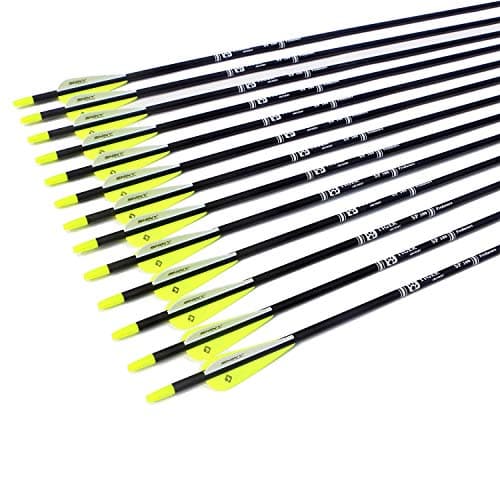 TIGER ARCHERY 30Inch Carbon Arrow Practice Hunting Arrows with Removable Tips for Compound & Recurve Bow(Pack of 12)