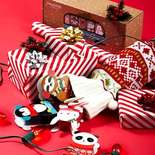 Thoughtfully Gourmet, Hot Chocolate Gift Set in Holiday Character Packaging, Flavors Include Rocky Road, Cookies Butter, Pumpkin Pie & More, Set of 12