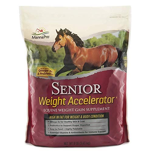 Manna Pro Weight Accelerator for Senior Horses – Weight Gain and Muscle Support Supplement with Omega 3 Fatty Acids and Flaxseed – High-Calorie Feed Topper for Horses – 8 lb Bag
