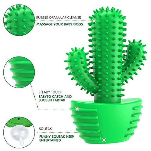Dog Chew Toys Dog Toothbrush Stick Teeth Cleaning Brush Dental for Medium Large Dog, Puppy Christmas Easter Birthday Gifts, Outdoor Squeaky Toys for Aggressive Chewers Interactive Tough Toys