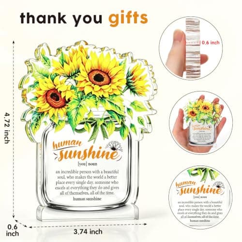 Motivational Inspirational Gift for Coworker Teacher Employee Leader Friend Coach, Definition Acrylic Office Desk Decor Human Sunshine Appreciation Gifts, Christmas Thank You Gifts for Women Men B0H3C7LC9Y