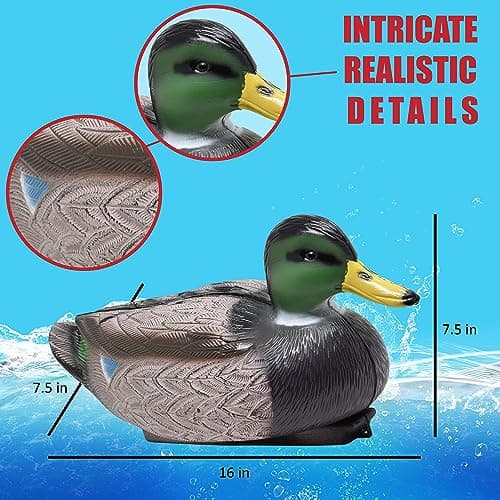 Duck Decoys for Hunting | Floating Duck Decoy for Pool, Pond & Lake