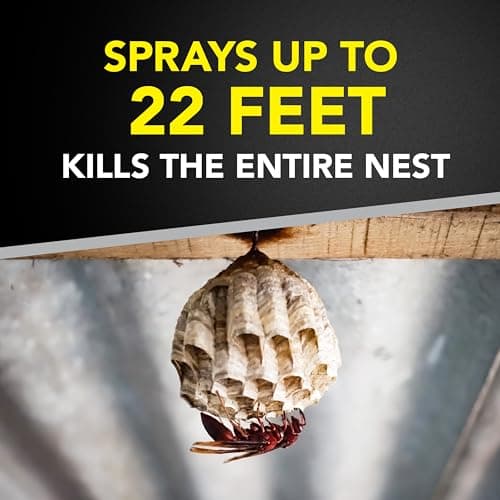 Raid Wasp & Hornet Killer Spray, Kills the Entire Nest, For Paper Wasps, Yellow Jackets, Mud Daubers, and more, 17.5 oz