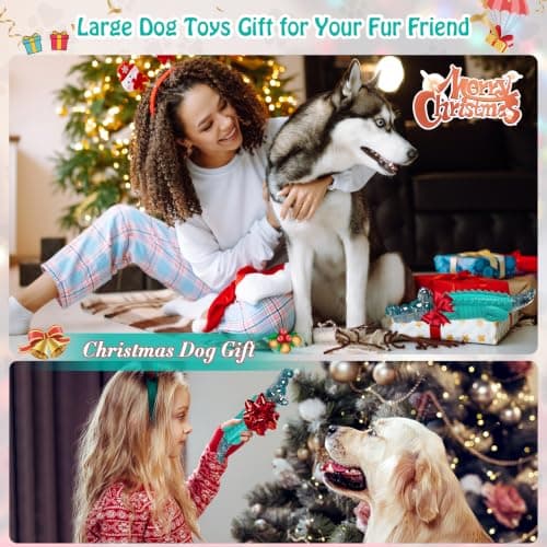 Alligator Dog Chew Toy for Medium & Large Breeds, Keep Them Busy, Reduce Boredom Jeefome Dog Toys for Aggressive Chewers B0BHN7K52L