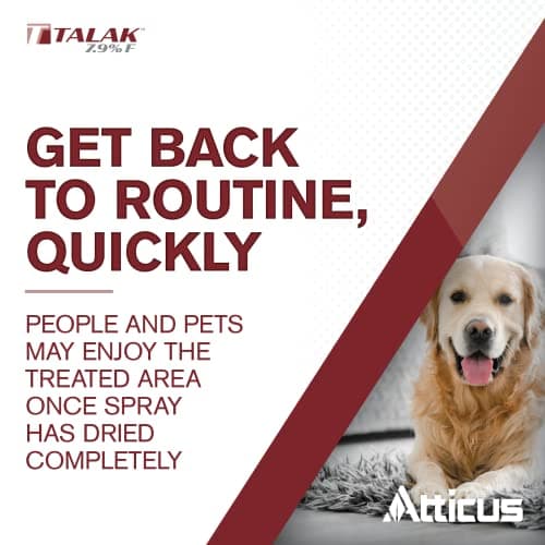 Atticus Talak 7.9 F Bifenthrin Insecticide Concentrate (96 oz) – Indoor and Outdoor Insect Control