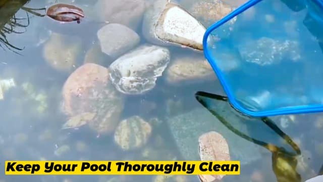 Sunnyglade Swimming Pool Cleaner Supplies/Professional Heavy Duty Pool Leaf Rake Fine Mesh Frame Net/Cleaning Leaf Skim Net (17.5x11.8in)