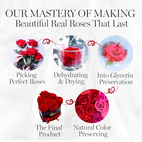 Small keepsake flower box for women, unique trinket and memory gift, cute present for a girlfriend, teacher or coworker GLAMOUR BOUTIQUE Preserved Flowers, 7 Forever Red Roses in Heart Gift Box