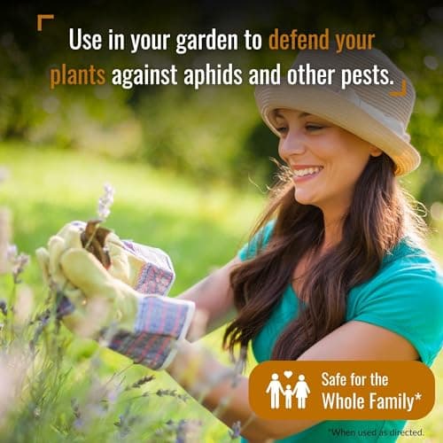 Dr. Killigan's Dust to Dust Powder - Diatomaceous Earth Alternative - Insect Killer for Indoor & Outdoor Use - Removes on Contact & While You Sleep, Protects up to 6 Months (10 oz)