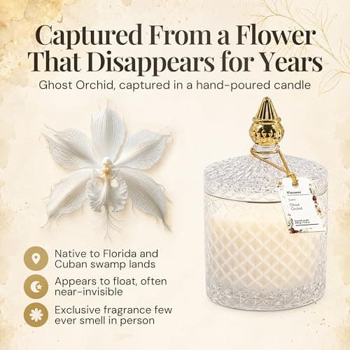 Decorative Soy Candles Birthday Gifts for Women, Elegant Glass Jar, 14.8oz, 80Hr Long Lasting Burn, Luxury Candles for Women VIONAMI Ghost Orchid Rare Flower Fragrance Luxury Scented Candle Gift B0FBMMZPXL
