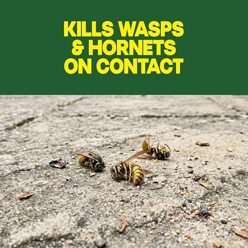 Raid Wasp & Hornet Killer Spray, Kills the Entire Nest, For Paper Wasps, Yellow Jackets, Mud Daubers and more, 14 oz (Pack of 2)