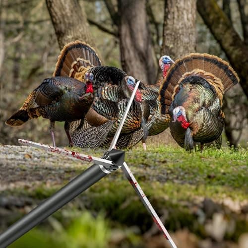 6 Pack Turkey Hunting Broadheads 100/125 Grain 420 Stainless Steel 3 Fixed Blade Broadhead 4" Cutting Dia Archery Arrow Tip for Compound Bow and Recurve Bow
