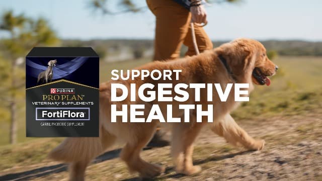 Purina Pro Plan Veterinary Supplements FortiFlora Dog Probiotic Supplement, Canine Nutritional Supplement - 30 ct. Box