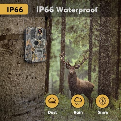 Trail Camera 3 Pack 36MP 1920P HD Game Camera with SD Cards, 0.2s Trigger Time Infrared Night Vision Motion Activated, IP66 Waterproof 2.0''LCD Wildlife Camera for Monitoring