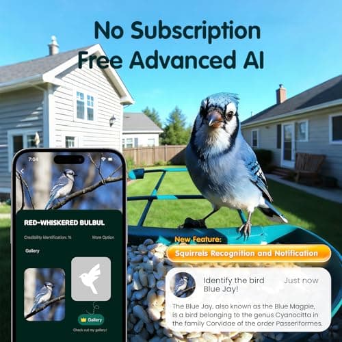 4K Ultra HD Video with Live View,10x Slow Motion,AI Smart Bird Feeder with Camera,2.4G/5G Wi-Fi,Durable Metal,Bird Lover Gift 4K Smart Bird Feeder with Camera,No Subscription,Solar Powered B0FMDP272Y