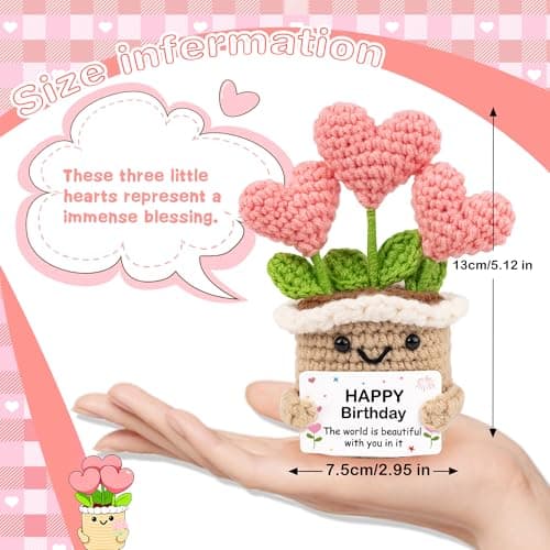 Crochet Birthday Gifts for Women – Inspirational Heart Planter Handmade Happy Birthday Gift for Women,Man,Mom, Sister, Best Friend, Coworker – Unique Gift Ideas for Her, Him, Birthday Decorations B0GWJBYTBJ
