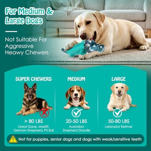 Alligator Dog Chew Toy for Medium & Large Breeds, Keep Them Busy, Reduce Boredom Jeefome Dog Toys for Aggressive Chewers B0BHN7K52L