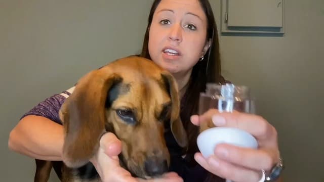 Feeding & Hydration | Travel Water Bowl | Portable Pet Dispenser | Dog Gifts | Puppy Essentials | for Hiking Camping Beach Cibaabo Dog Water Bottle Portable with Food Container & Filter for Travel B09F5ZYV7M
