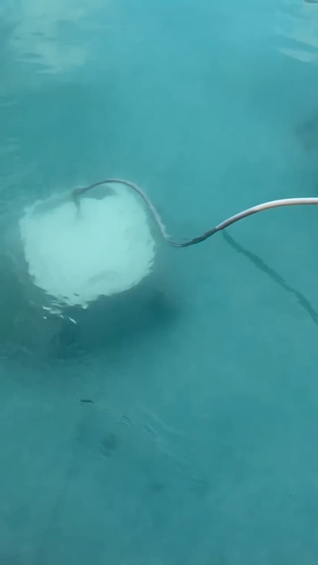 Chasing Hydro 4 SE Pool Vacuum for Inground Pools | Robot Cleaner for Floor, Wall & Waterline | Always Cleaning, Never Charging | 40ft Cord | 4.1L Filter Basket for Inground & Above Ground Pools