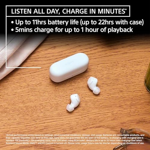 Sony WF-C510 Truly Wireless in-Ear Bluetooth Earbud Headphones with up to 22-Hour Battery, Multipoint-Connection, Mic and IPX4 Water Resistance, Black- New