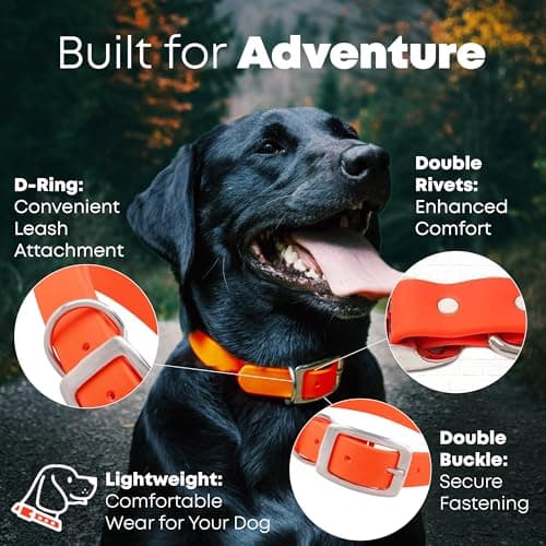 Regal Dog Products Medium Orange Dog Collar with Heavy Duty Double Buckle & D Ring | Vinyl Coated, Custom Fit, Adjustable Biothane Dog Collar Chew Resistant Waterproof Center-Ring Collar for Dogs