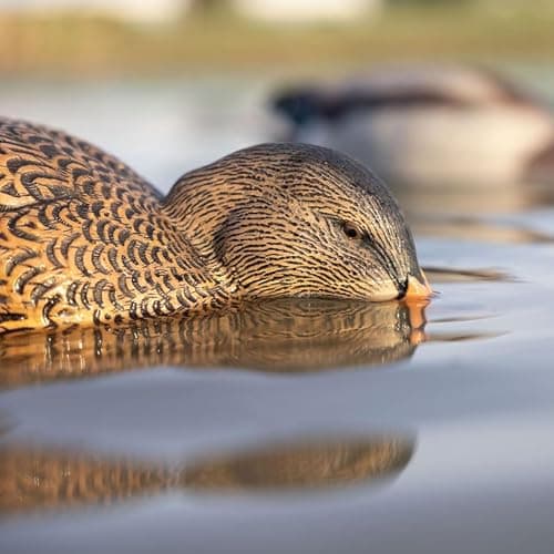 Avian-X Power Shaker Motion Decoy