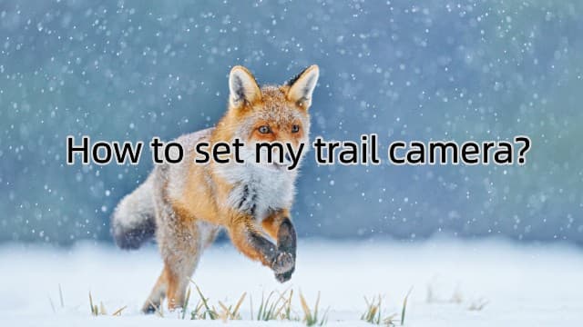 2 Pack Trail Cameras with Night Vision Motion Activated Waterproof,30MP Game Camera,1080P HD Trail Cam with SD Card for Wildlife Monitoring,Outdoor Scouting & Security