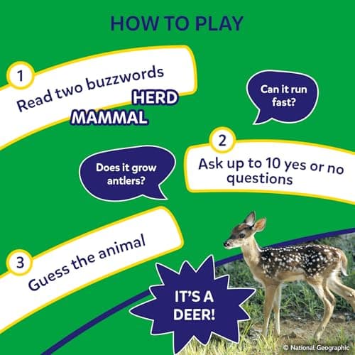 Skillmatics Guess in 10 National Geographic Animals, Educational Card Game for Kids & Families, Animal Trivia & Travel Game, Screen-Free Fun, Gifts for Ages 6, 7, 8, 9 and Up