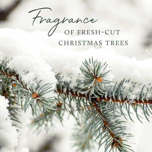 Thymes Frasier Fir Candle – Pine Needle Design – Holiday Scented Candle – Notes of Crisp Siberian Fir, Cedarwood & Sandalwood – Luxury Home Fragrance Gifts for Women & Men – Silver (Statement, 2 oz) B08CVRZ6M9